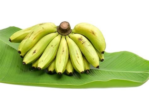 Banana Cluster Isolated Image Stock Image Image Of Background