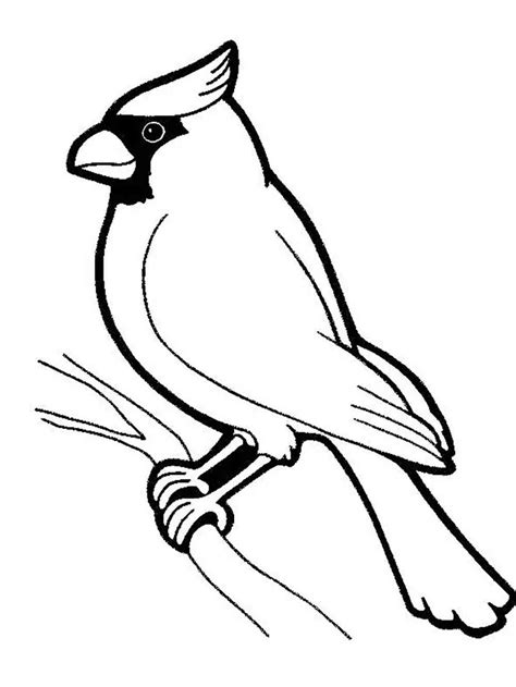 Cardinal Coloring Pages Free Printable