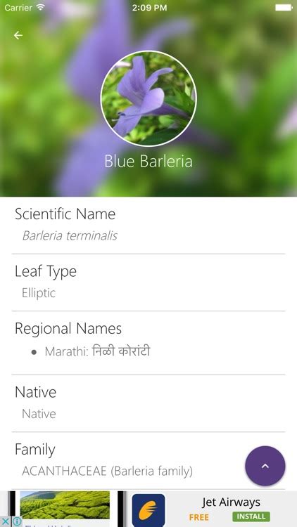 Check spelling or type a new query. Flowers Images With Names In Marathi - remindringtoneurbt