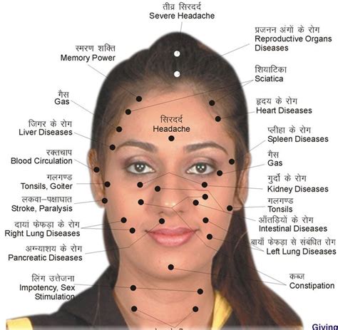 Face Reflexology Chart Reflexology Reflexology Techniques