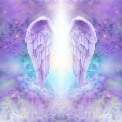 Heaven Wallpaper Angel Wings