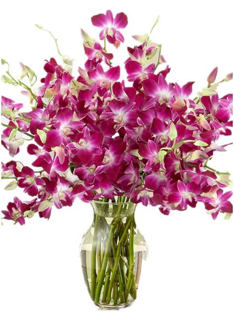 Flower cart florist & gifts provides flower and gift delivery to the el cajon, ca area. Dendrobium Orchid in Vase sameday flower delivery to ...