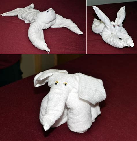 Towel Animal Folding Infographic Ultimate Guide To Create Your Own