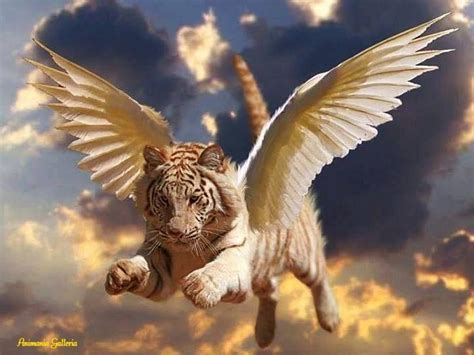 Tiger With Wings Tiger Pictures Fantasy Art Illustrations Mythical