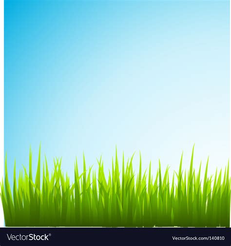 Grass Royalty Free Vector Image Vectorstock