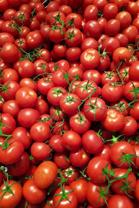15 Of The Top Tomato Hybrids Gardeners Path