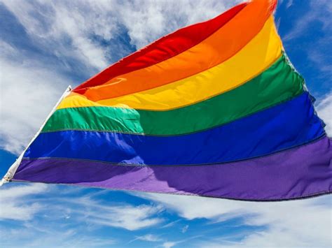 Man Gay Flag Falasbi