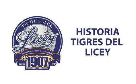 Tigres Del Licey Qui Nes Son Y Qu Han Ganado Historia Y Datos