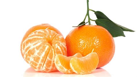 What Type Of Mandarins Are Seedless Justalittlebite