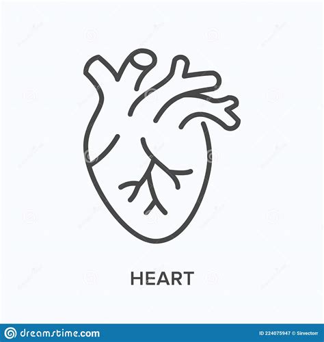 Heart Flat Line Icon Vector Outline Illustration Of Cardio Organ Stock