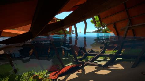 The Witness Review Polygon