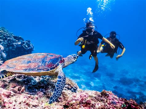Scuba Diving In Thailands Phi Phi Island — No Destinations
