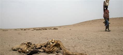 Wmo Greater Horn Of Africa Drought Forecast To Continue For Fifth Year