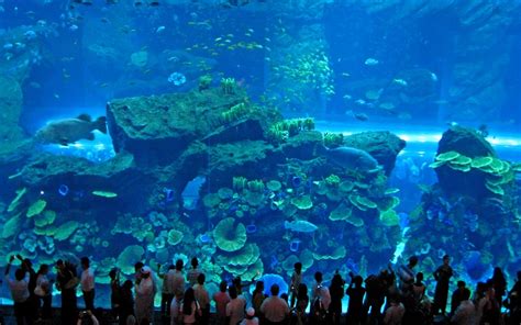 Best Aquarium In The World 2022