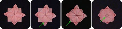 Origami Water Lily Make
