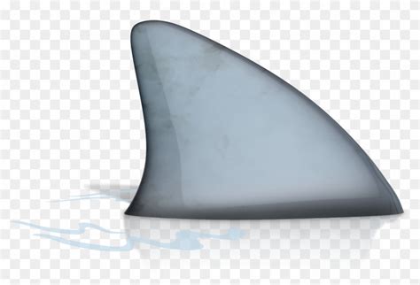 Download Fin Png Shark Clipart Png Download Pikpng