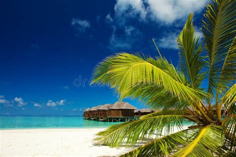 Tropical Seascape Beautiful Island View With White Sand Ocean Waves