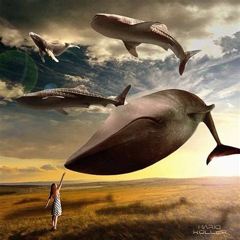 Cosmic Dolphin Artwork By Christian Riese Lassen Gkindshivani