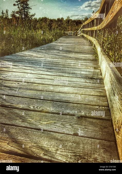 Boardwalk Over Marshland Stock Photo Alamy