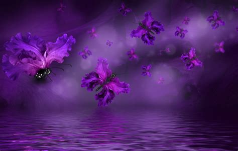Обои бабочки лепестки Water Purple Butterflies Floral картинки на