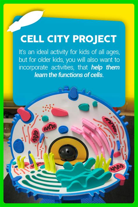 Guide To Teaching Kids About Cells Artofit