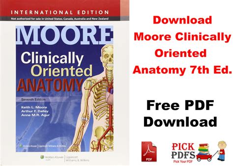 Moore Clinically Oriented Anatomy