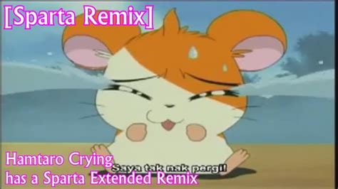 Sparta Remix Hamtaro Crying Sparta Extended Remix Youtube