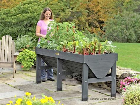 Container Gardening Offers Aesthetic Sense To The Surroundings