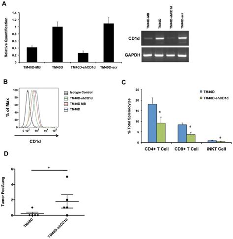 Gene Knockdown Of Cd1d By Shrna In Cd1d Expressing Tm40d Cells