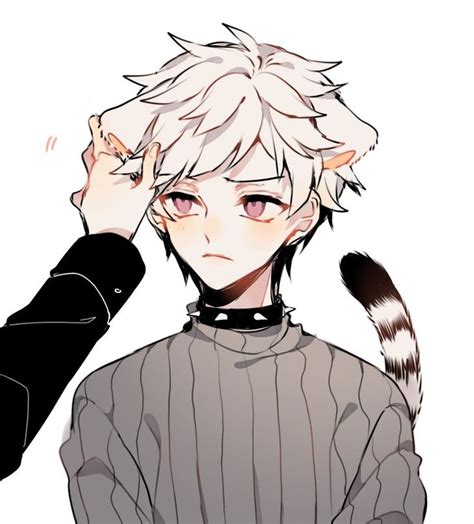 Jjghqyv5ia Stray Dogs Anime Anime Cat Boy Cute