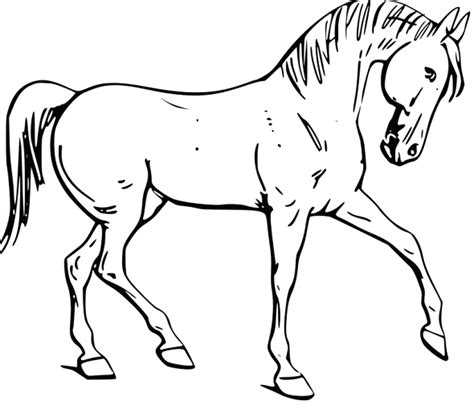 Draft Horse Coloring Pages Coloring Home