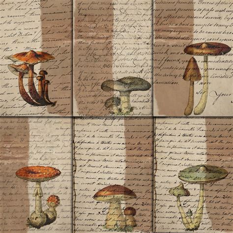 Junk Journal Mushroom Digital Pages Printable Mushrooms Ephemera For
