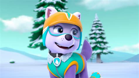 Target/toys/paw patrol everest toy (1326)‎. Everest - PAW Patrol - Mollymolata's Fanclub Photo ...