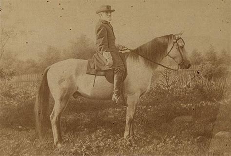 Michael Miley Gen Robert E Lee On His Horse Traveller Circa 1866