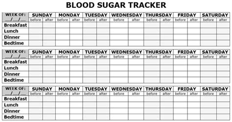 Blood Sugar Diary Printable Template Business Psd Excel Word Pdf