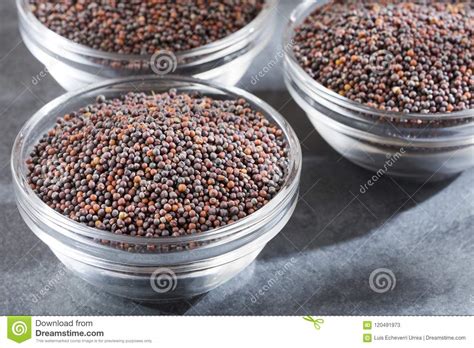 Black Mustard Seeds In Bowls Brassica Nigra Stock Image Image Of