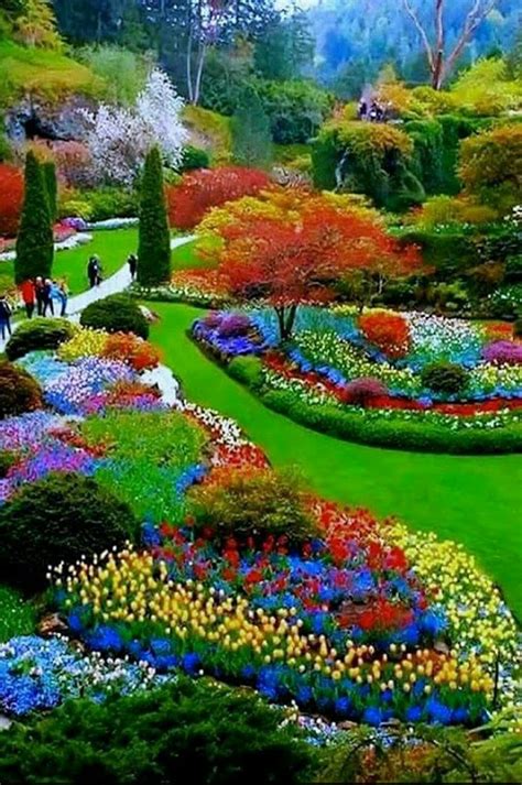 Beautiful Garden Great Place For An Afternoon Walk 🌼🌹 🌿 🍃🌹🌹🍃