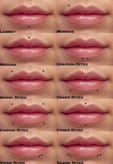 Lip Piercing Types