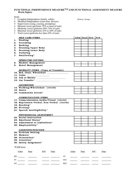 Nihss Cheat Sheet