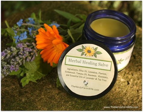 Herbal Healing Salve Recipe