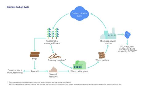 Biomass Zero Carbon Emission Renewable Energy Opus Energy