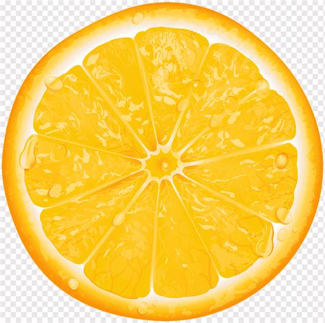Lemon Orange Slice Orange Slice Sliced Lemon Food Orange Citrus