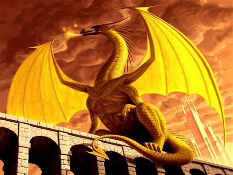 Gold Dragon Image Imperial Gold Dragon Wallpaper Ejk5i