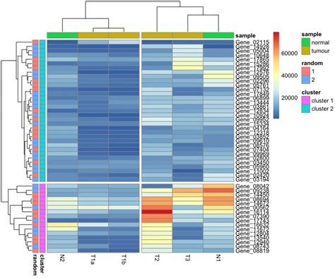 Making A Heatmap In R With The Pheatmap Package Images And Photos Finder