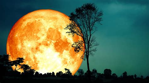 When To See The Harvest Moon At Peak Brilliance This Month