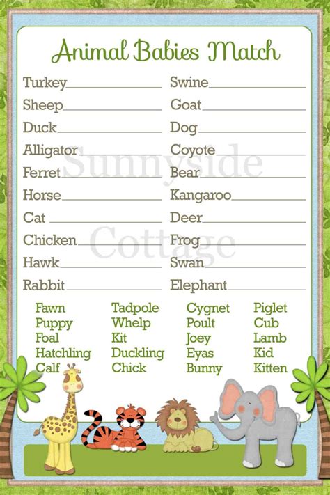 40 Baby Animal Names Game Answers Pics Temal