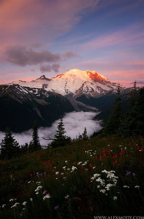 Sunrise Over Mount Rainier Mount Rainier National Park National