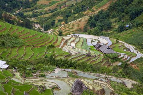 Rice Paddies In The Mountains Near Sapa Village Northern Vietnam Stock