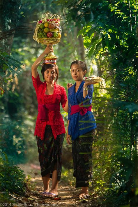 Balinese Girls The Balinese Girls With Banten Aturan Ritual Homage To The God Fotografi