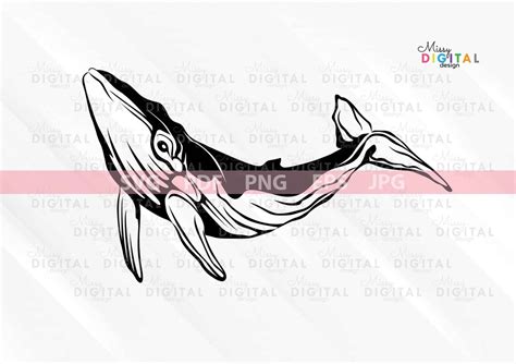 Whale Laser Cut Fileblue Whale Svgdigital Cut Etsy
